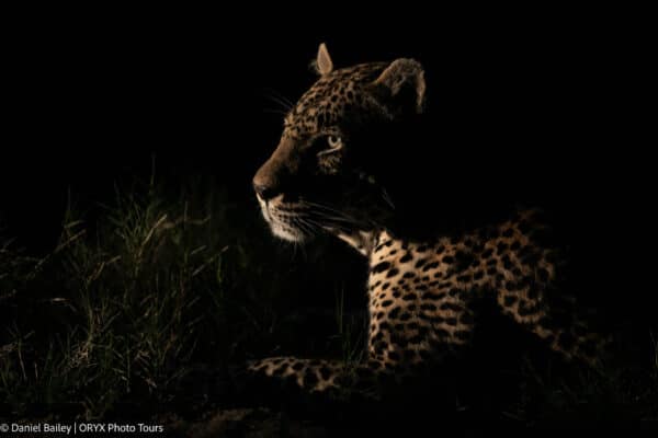 photography tours south africa 6 600x400 2