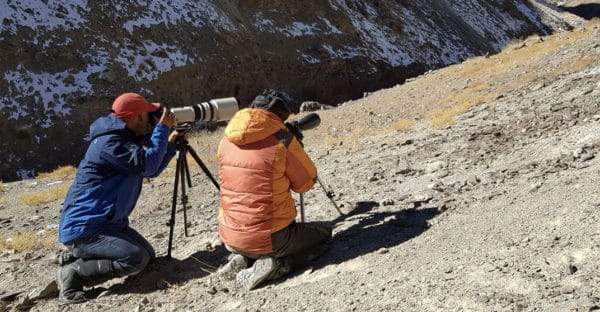 snow leopard photo tour video 1 600x312