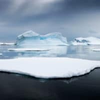 antarcticaphotographytour2 200x200