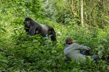 wildlife photography tours